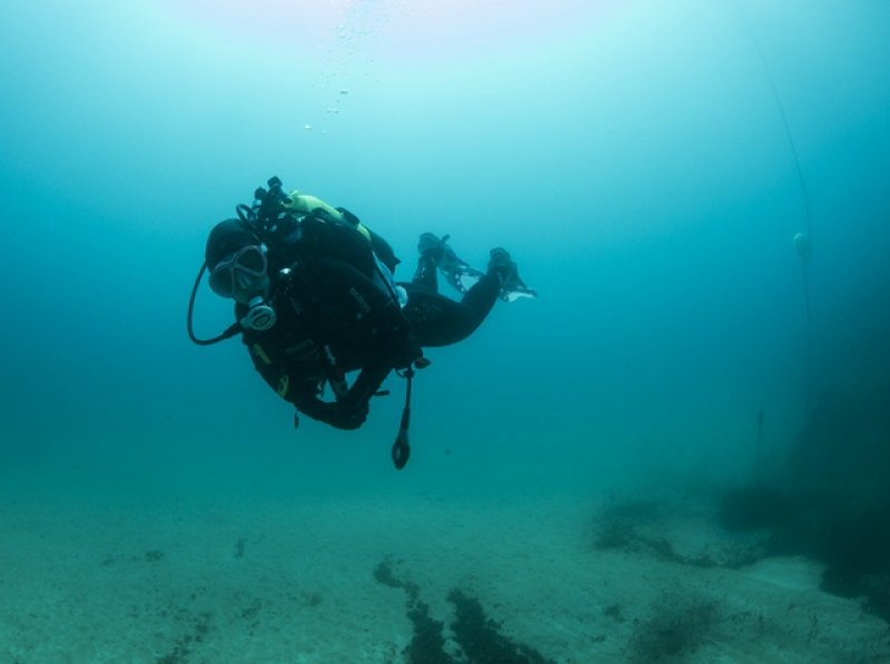 Diving mediterranean